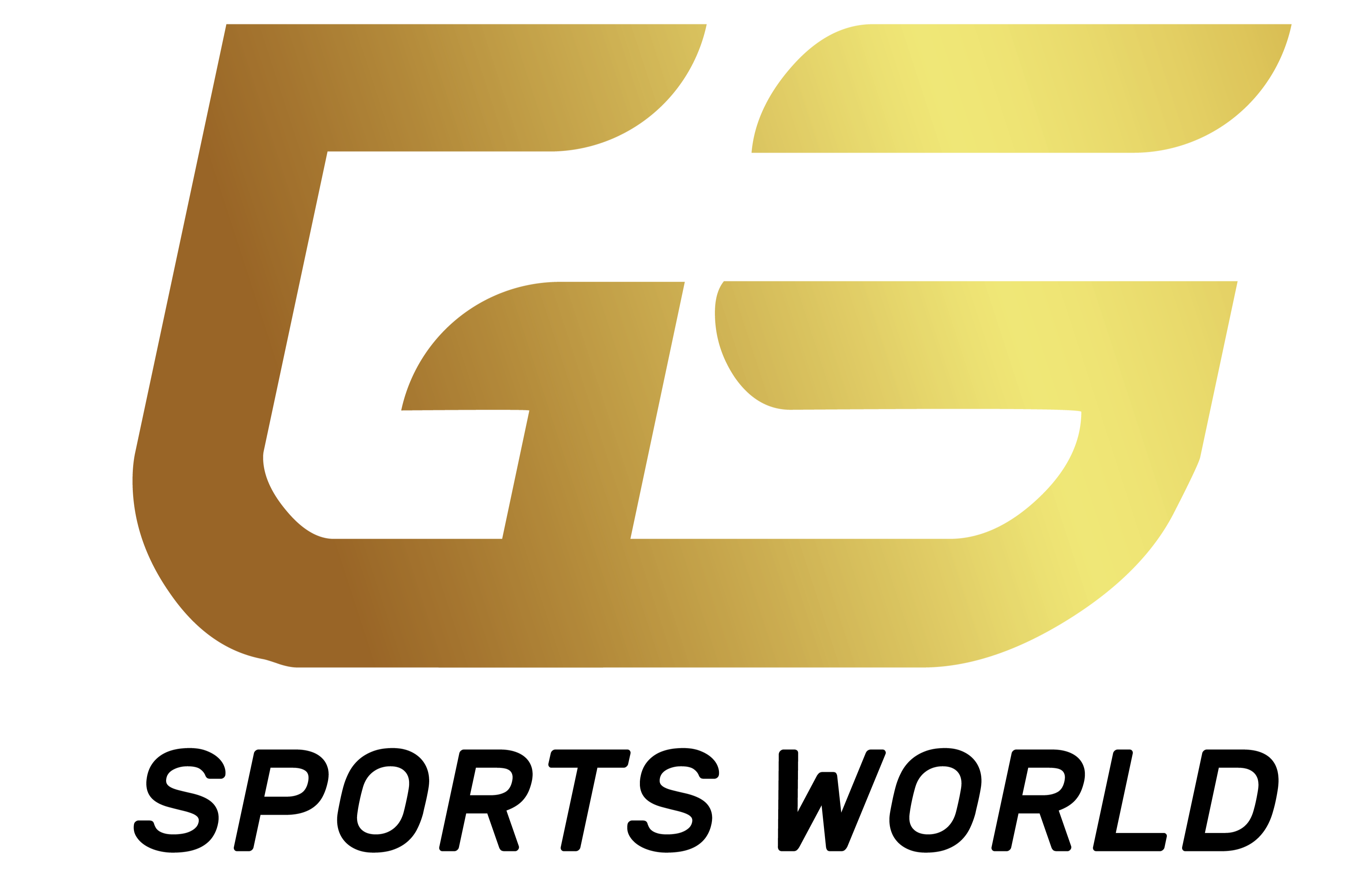 GS Sports World - GOSEN Official Online Store